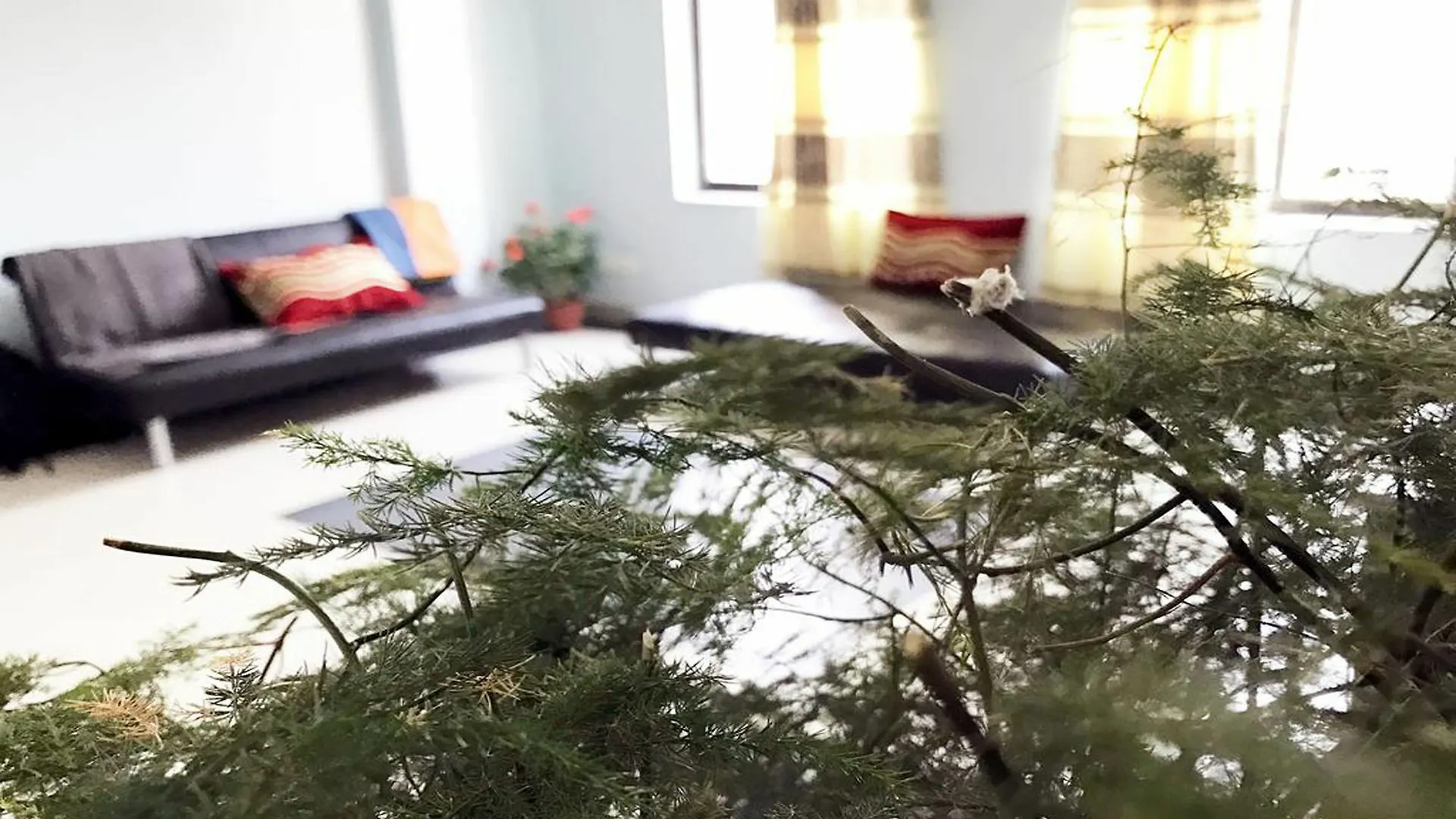 Lazimpat Luxury Apartments Kathmandu